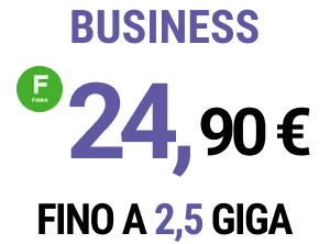 Business 24.90